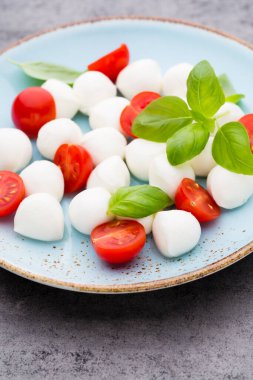 Kiraz domatesleri, mozzarella peyniri, fesleğen ve baharatlar gri tahta üzerinde. İtalyan geleneksel Caprese salata malzemeleri. Akdeniz yemekleri.