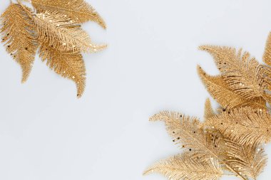  Mavi arka planda altın palmiye yaprağı. Palmiye yaprağı, düz ve üst görünüm.