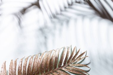 Mavi duvarda altın palmiye yaprakları ve gölgeler.