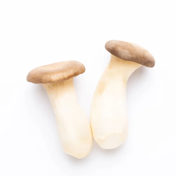 King Oyster Mushroom Eryngii Mushroom White Background — Stock Photo, Image