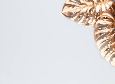 Mavi arka planda canavar altın yaprağı. Palmiye yaprağı, düz ve üst görünüm.