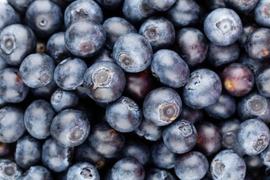 Metnin için fotokopi alanı olan taze yabanmersini arkaplanı. Sınır tasarımı. Vejetaryen ve vejetaryen kavramı. Yaban mersinli makarnanın dokusu. Yaz sağlıklı yemekleri. Pankart.