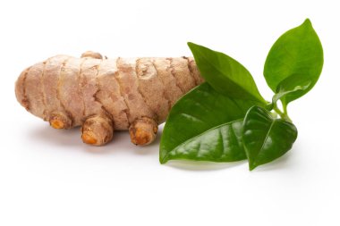 Zerdeçal, Curcuma longa Linn, rizom beyaz arkaplanda izole.