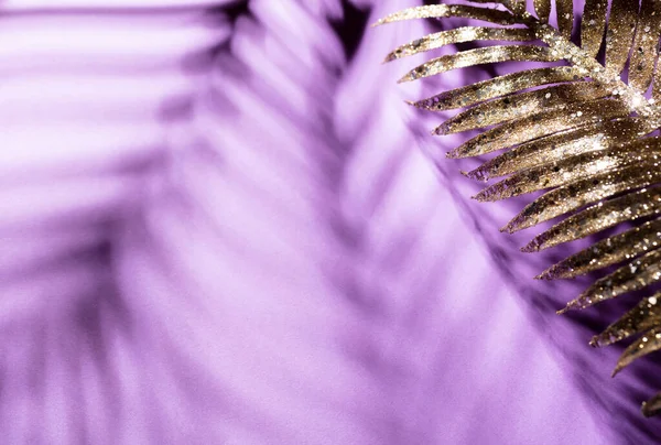 Liście Palmy Cienie Kolorowym Tle Ściany — Zdjęcie stockowe