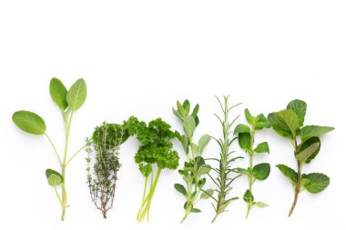 Beyaz arka planda izole edilmiş baharat bitkisi. Üst Manzara. Düz uzanma deseni.