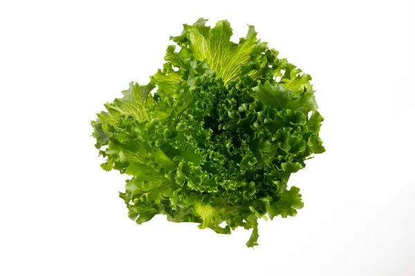 Salad Leaf Bio Lettuce Isolated White Background — Stock Photo, Image