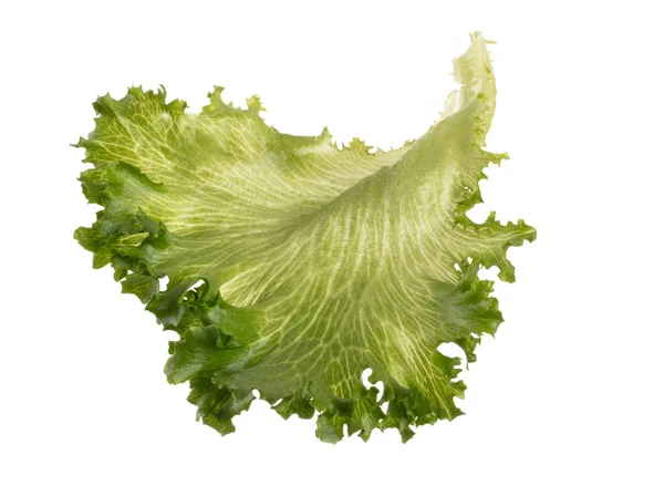 Salladsblad Bio Sallad Isolerad Vit Bakgrund — Stockfoto