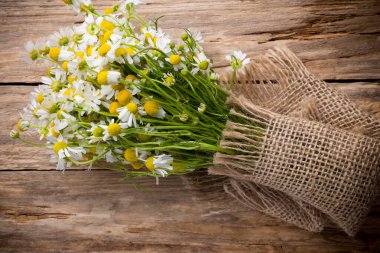 Ahşap arka planda papatya çiçekleri. Stüdyo fotoğrafçılık.