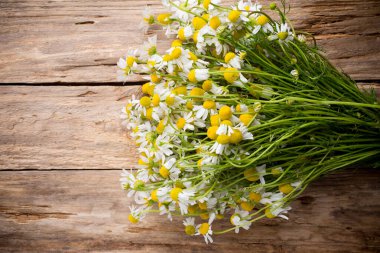 Ahşap arka planda papatya çiçekleri. Stüdyo fotoğrafçılık.