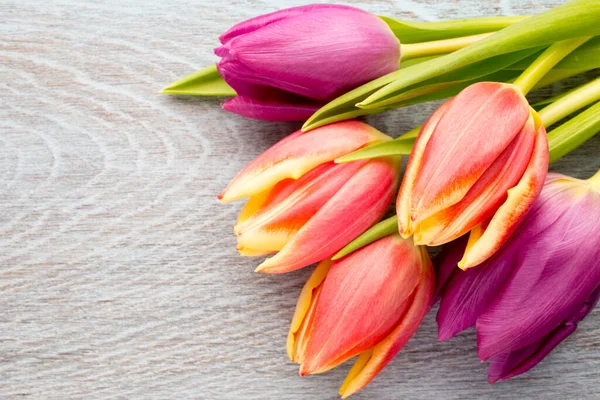 Tulips Wooden Surface Studio Photography — Stock Photo, Image