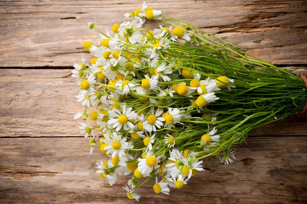 Chamomile Flowers Wooden Background Studio Photography — Stock Photo, Image