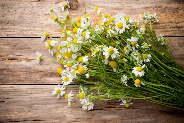 Chamomile Flowers Wooden Background Studio Photography — Stock Photo, Image