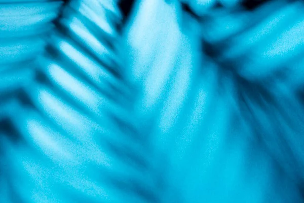 Palmblätter Und Schatten Auf Einem Farbigen Wandhintergrund — Stockfoto