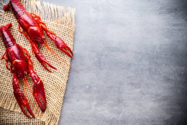 Gri arkaplanda nehir kerevitleri.