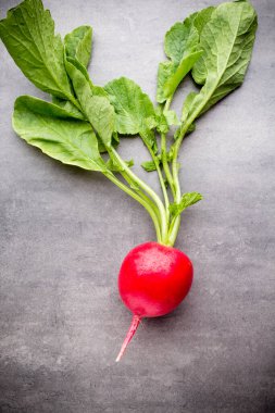 Gri arka planda turplar. Durgun hayat.