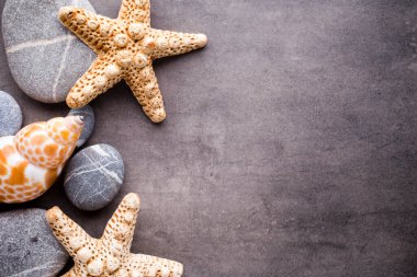 Gri taş yüzeyde denizyıldızı. Seyahat arkaplanı.