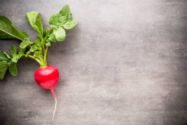 Gri arka planda turplar. Durgun hayat.