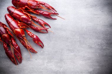 Gri arkaplanda nehir kerevitleri.