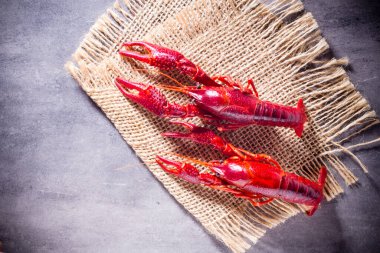 Gri arkaplanda nehir kerevitleri.