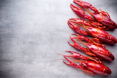 Gri arkaplanda nehir kerevitleri.