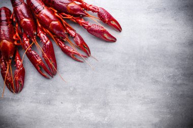 Gri arkaplanda nehir kerevitleri.