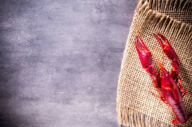 Gri arkaplanda nehir kerevitleri.