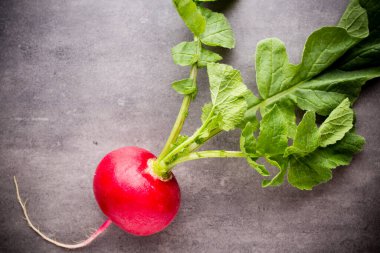 Gri arka planda turplar. Durgun hayat.