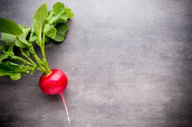 Gri arka planda turplar. Durgun hayat.