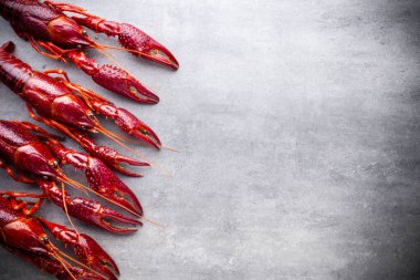 Gri arkaplanda nehir kerevitleri.