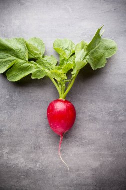 Gri arka planda turplar. Durgun hayat.