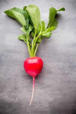 Gri arka planda turplar. Durgun hayat.