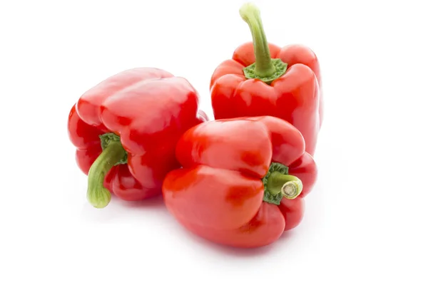 Pepper White Isolatd Background — Stock Photo, Image