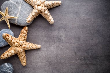 Gri taş yüzeyde denizyıldızı. Seyahat arkaplanı.