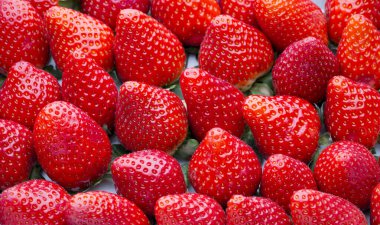 Bir kutu çilek, hasat koleksiyonu..