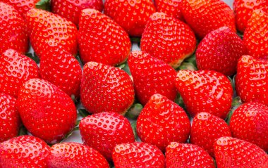 Bir kutu çilek, hasat koleksiyonu..