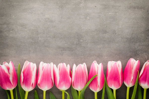 Tulipany Szarym Tle — Zdjęcie stockowe
