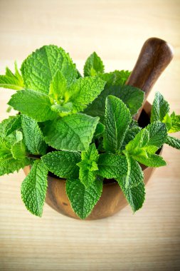 Havan topu ve nane şekeriyle tokmak.