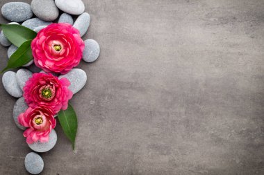 Gri arkaplandaki spa temalı nesnelerin görünümünü kapat.