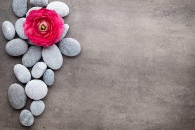 Gri arkaplandaki spa temalı nesnelerin görünümünü kapat.