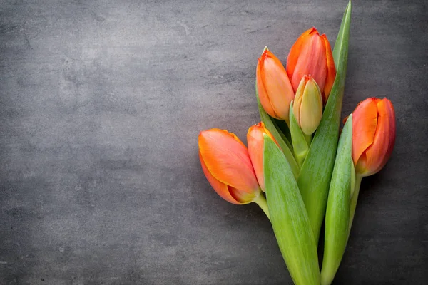 Pomarańczowe Tulipany Szarym Tle — Zdjęcie stockowe