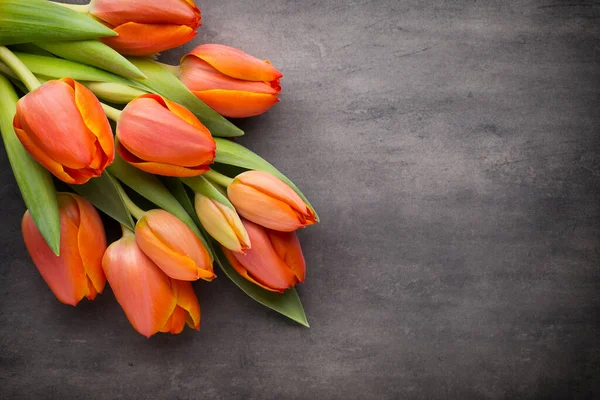 Orange Tulips Grey Background — Stock Photo, Image