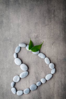 Kalp kaplıca taşlarından, gri arka planda..