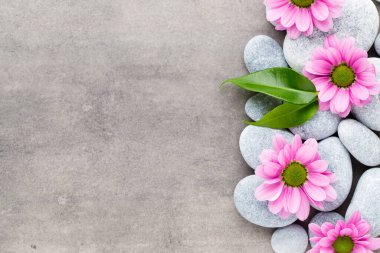 Gri arkaplanda kaplıca taşı ve çiçekler.