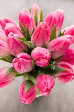 Gri arkaplanda pembe lale.