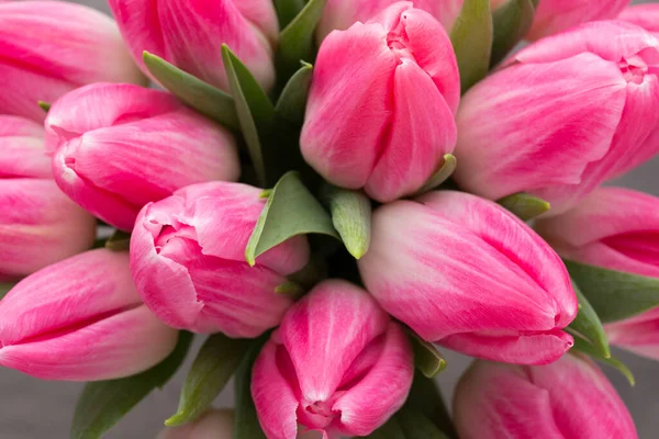 Rosa Tulpe Auf Dem Grauen Hintergrund — Stockfoto