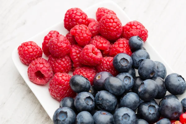 Fresh Blueberries Red Currant — Stock Photo, Image