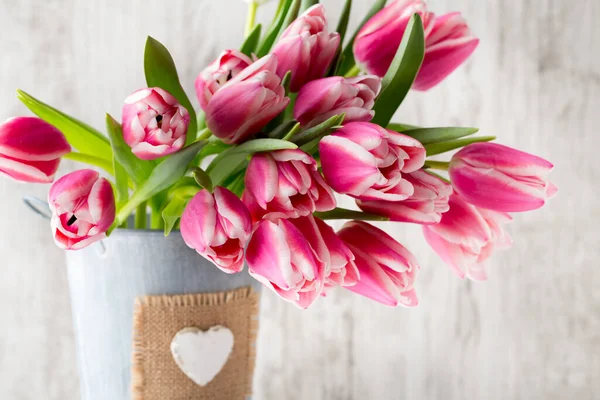 Tulips Grey Background — Stock Photo, Image