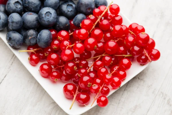 Fresh Blueberries Red Currant — Stock Photo, Image