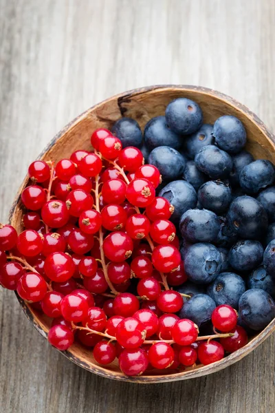 Fresh Blueberries Red Currant — Stock Photo, Image