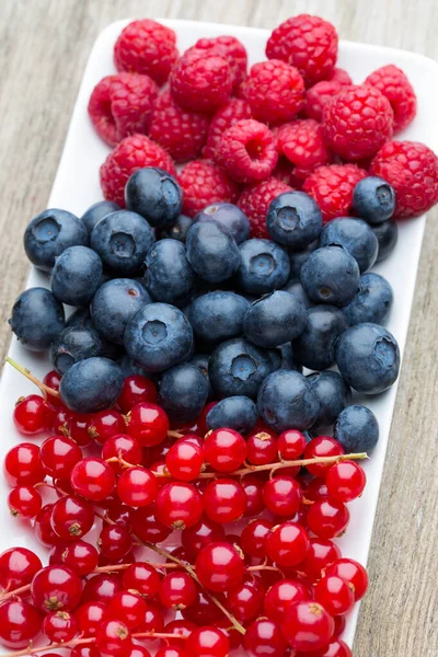Fresh Blueberries Red Currant — Stock Photo, Image